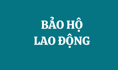 BẢO HỘ LAO ĐỘNG