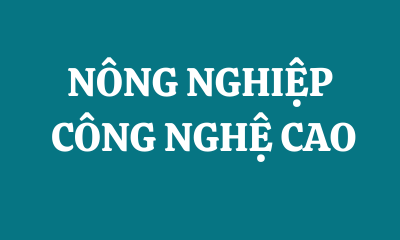 NÔNG NGHIỆP CÔNG NGHỆ CAO