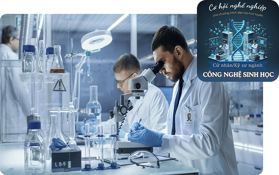 Cơ hội việc làm