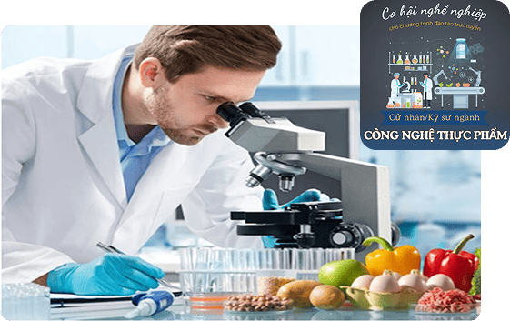 Cơ hội việc làm