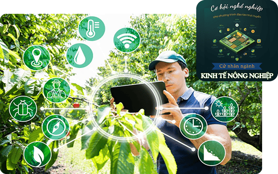 Cơ hội việc làm