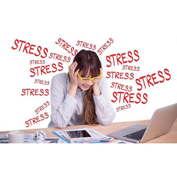 Đi làm mãi vẫn NGHÈO… vì thiếu bằng ĐẠI HỌC?