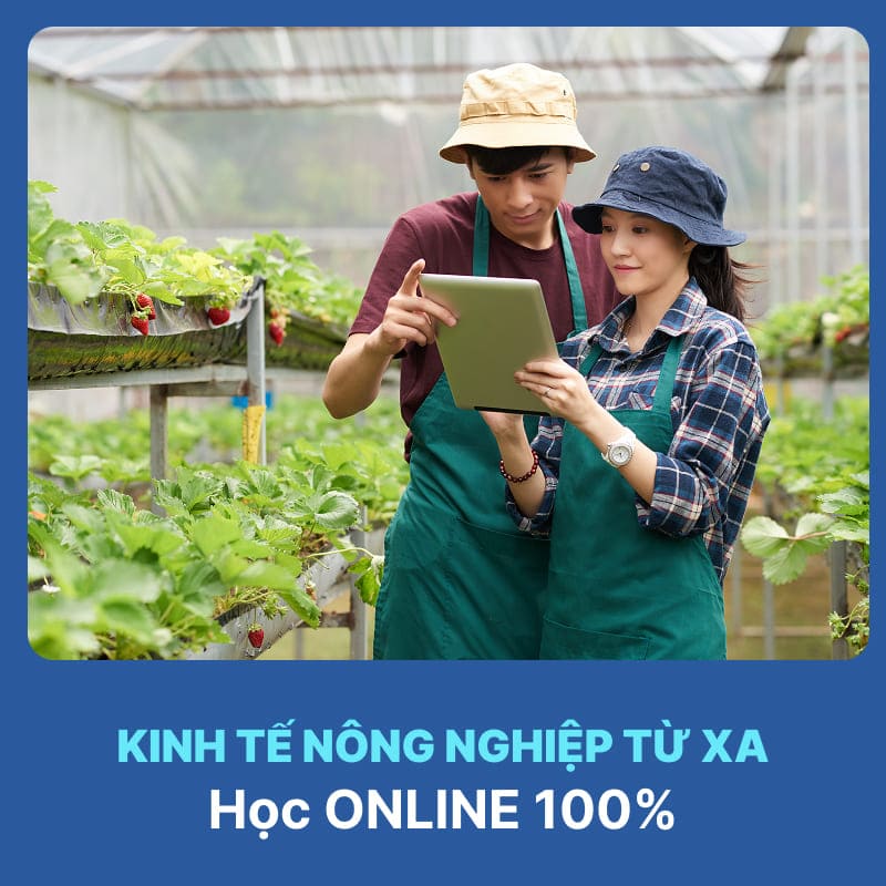 Tổng Quan Ngành Kinh Tế Nông Nghiệp Hệ Từ Xa