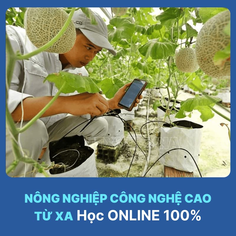 Tổng Quan Ngành Nông Nghiệp Công Nghệ Cao